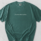 I'm Nicer T-Shirt