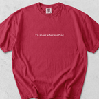 I'm Nicer T-Shirt