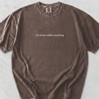 I'm Nicer T-Shirt