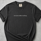 I'm Nicer T-Shirt